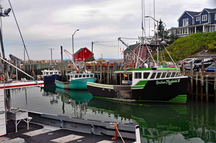 harbor